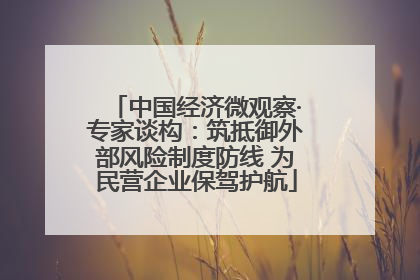 中国经济微观察·专家谈构：筑抵御外部风险制度防线 为民营企业保驾护航